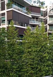 Oxley Edge (D9), Apartment #585091481
